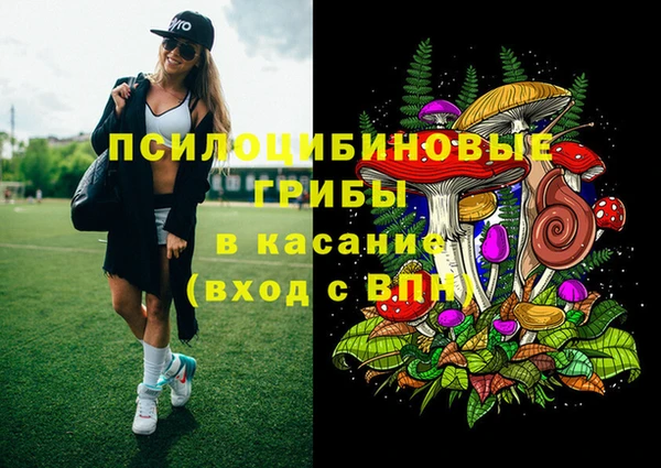 2c-b Белокуриха