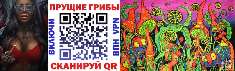 Псилоцибиновые грибы ЛСД Минеральные Воды