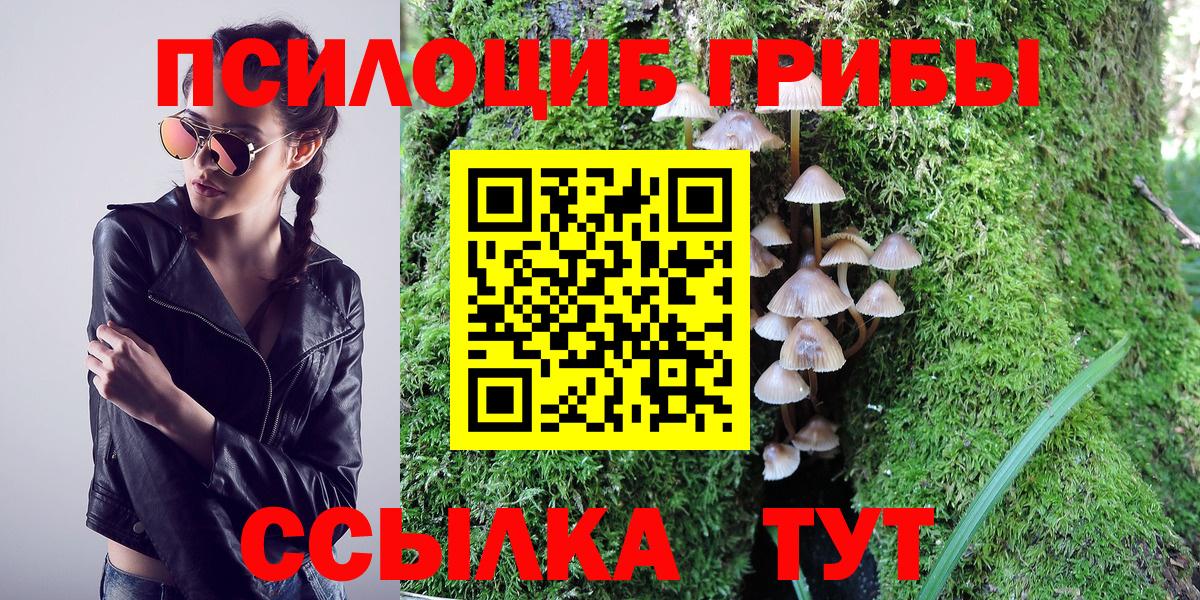 Минеральные Воды  Галлюциногенные грибы Magic Shrooms  где продают   Вход с VPN 